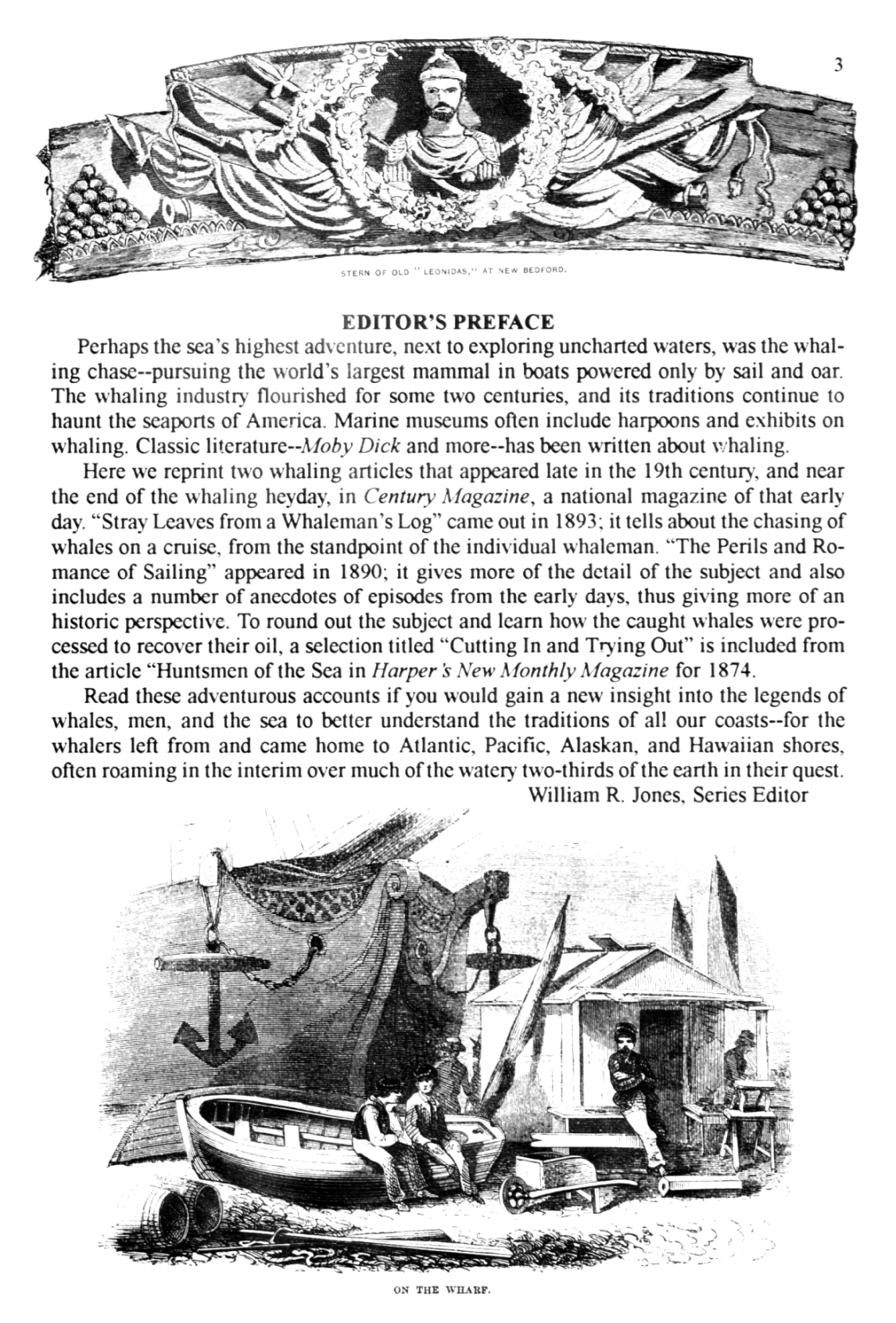 19th CENTURY WHALING TALES. VIST0089i